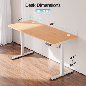 MOUNTUP 55 x 24 Inches Electric Height Adjustable Standing Desk UP512-W5